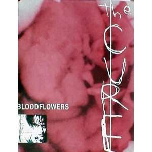  The Cure (Bloodflowers, Original) Music Poster Print   18 