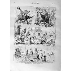  1876 NEPAUL TERAI PRINCE WALES TIGER HUNTING ELEPHANT 