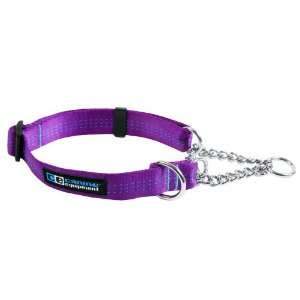 Canine Equipment Technika 1 Inch Martingale Dog Collar, Medium, Purple