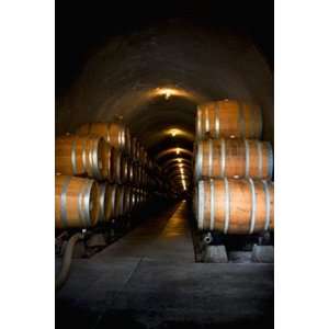 Wine Barrels Wall Mural