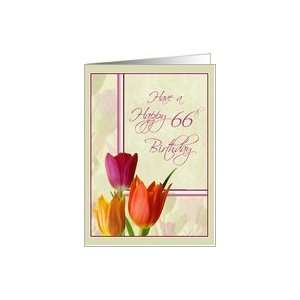    Colorful Tulips 66th Birthday Cards for Her Card Toys & Games