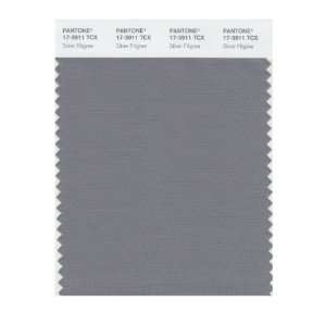  Pantone 17 3911 TCX Smart Color Swatch Card, Silver 