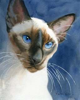 PRINT Chocolate Siamese Cat Art Painting OnBlue  