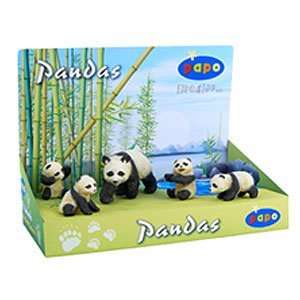  Display Box   Panda Family Toys & Games