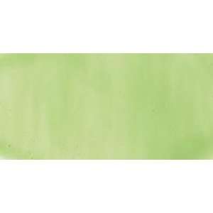 Plaid 16035 Gallery Glass Window Color, Lime Green, 2 