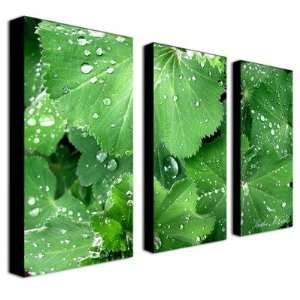  Water Droplets by Kathie McCurdy Canvas Art (Set of 3 