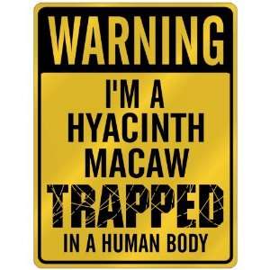 New  Warning I Am Hyacinth Macaw Trapped In A Human Body  Parking 