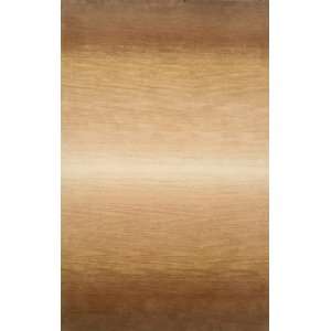  TransOcean Rugs Ombre Stripes Neutral Rectangle 3.60 x 5 