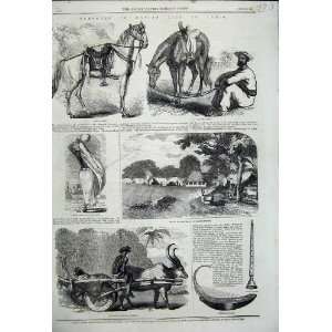  1858 Natives India Burmese Harp Sikh Horse Leopard Hunt 