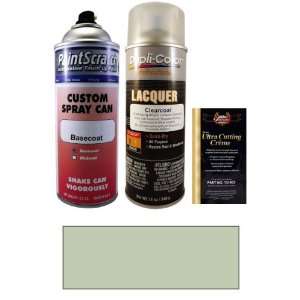  12.5 Oz. Light or Surf Green Poly Spray Can Paint Kit for 
