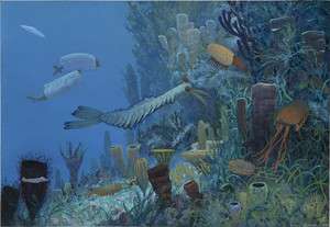 Cambrian Burgess Shale scene, Douglas Henderson  