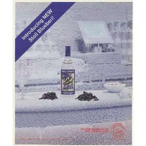  2006 Stolichnaya Stoli Blueberi Blueberry Vodka Print Ad 