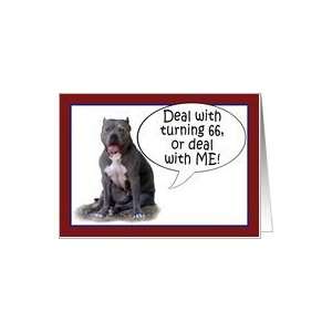  Pit Bull, Deal with it Turning 66 Card Toys & Games