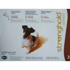  Stronghold small dog brown 3