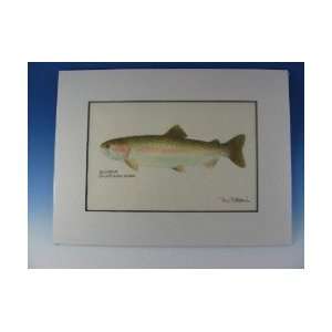   Rainbow Trout (Female) Matted Print   Ron Pittard