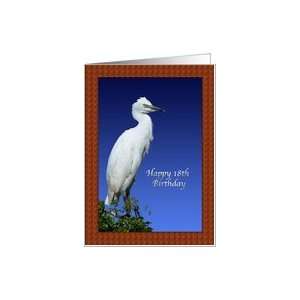  18th Birthday Card with Immature Cattle Egret Card Toys & Games