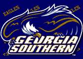 Georgia Southern Eagles Street Sign New  