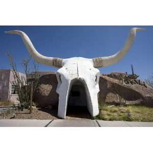     Cattle head restaurant Tucson Arizona 24 X 17 