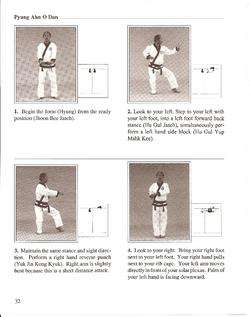 Soo Bahk Do Tang Soo Do Red Belt Karate Manual + DVD  