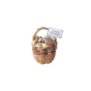  Miniature Florida Seashells Basket sold at Miniatures 