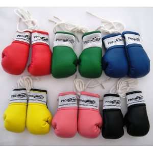 Pro Impact Mini Boxing Gloves (1 Pair Pink)  Sports 