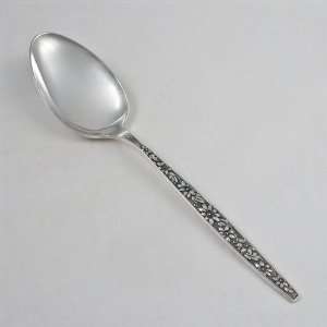  Meadow Song by Towle, Sterling Tablespoon (Serving Spoon 