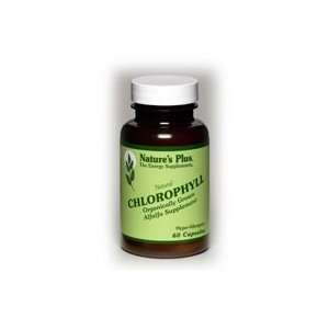  Chlorophyll 100mg   90   Capsule