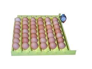 HovaBator Auto Egg Incubator Turner 1610 Chicken/Quail  