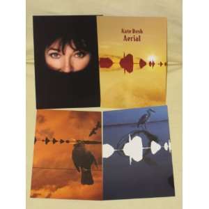   of 4   Kate Bush   Aerial   Advertisement Post Card Styled Photo Cards