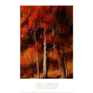 Loch Raven Poster, 13x19 Umber Reflection Vertical  while 