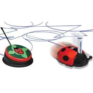  Adapted Color Bug Toys & Games
