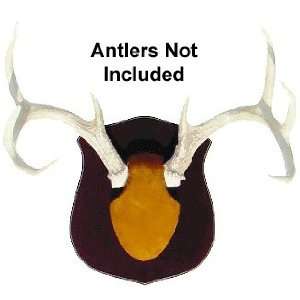   True Classic Mounting Kit for Hunting Trophy Antlers 