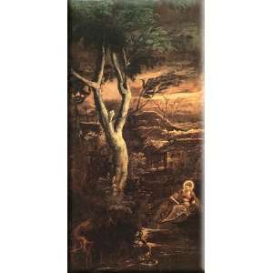   8x16 Streched Canvas Art by Tintoretto, Jacopo Robusti