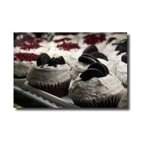  Cupcakes I Giclee Print