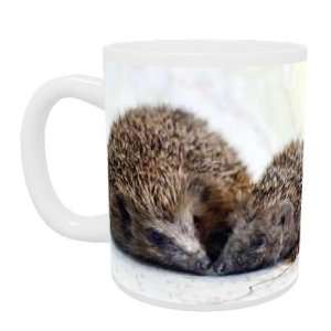  The Shiremoor Hedgehog Rescue Centre   Mug   Standard Size 