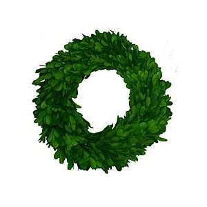  Round Preserved Boxwood Wreath W/ Ribbon   8 Inch Health 
