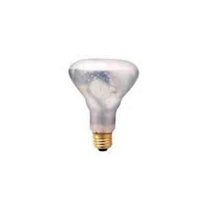  Shatter Resistant Flood Light Bulbs