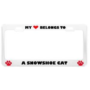 Snowshoe Cat Pet White Metal License Plate Frame Tag Holder