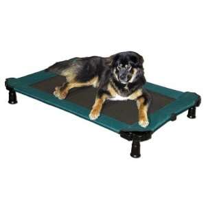  Portable Pet Cot in Green (Large)