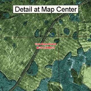  USGS Topographic Quadrangle Map   Cow Bone Island, Florida 