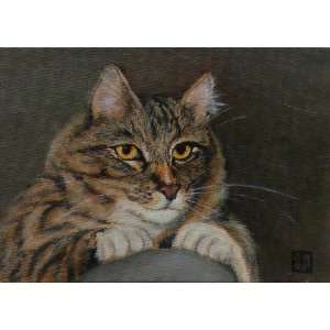  Original Oil Painting A Cat May Look at a King