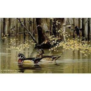  Maynard Reece   Seclusion Wood Ducks Artists Proof