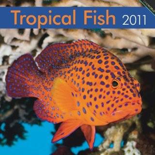 Tropical Fish 2011 Square 12X12 Wall Calendar (Multilingual Edition 