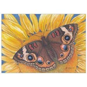  Buckeye, Butterflies & Moths Note Card by Martha Anderson 