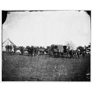  Culpeper,Virginia. Capt. Pierces private horses,wagons 