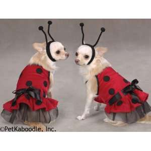  Casual Canine Cute Ladybug Halloween Dog Costume Dress w 