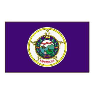 MINNESOTA STATE FLAG 