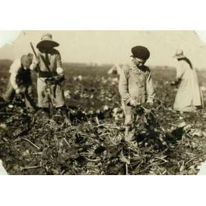  1915 child labor photo Jake is ten yrs old, Marie is 13 