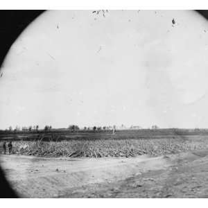  Petersburg, Virginia. Earthworks in front of Petersburg 