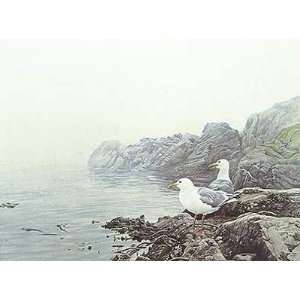  Robert Bateman   Misty Coast Gulls